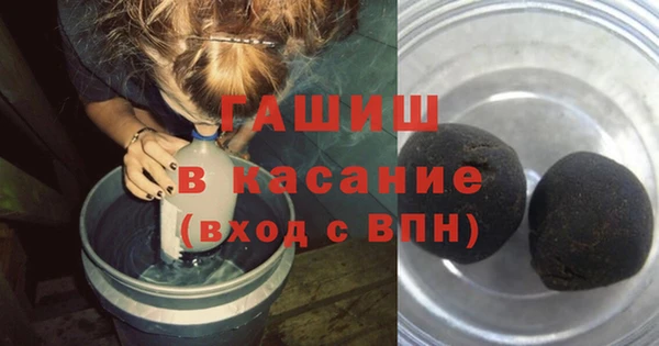 твердый Новозыбков