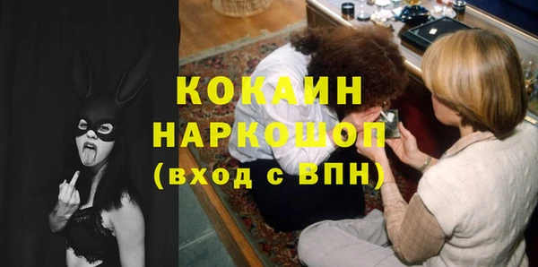 твердый Новозыбков
