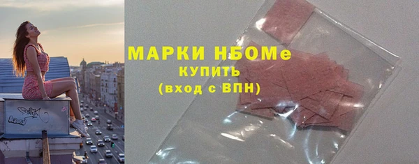 твердый Новозыбков