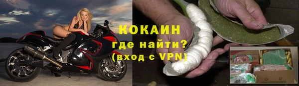 дмт Новодвинск