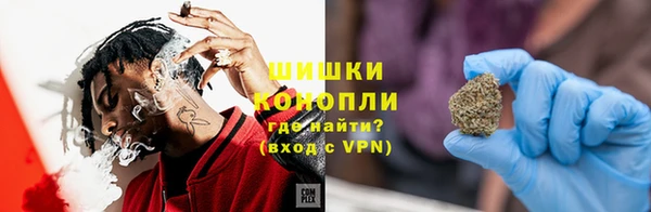твердый Новозыбков
