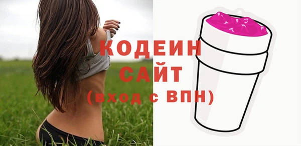 твердый Новозыбков