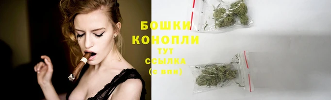 дмт Новодвинск
