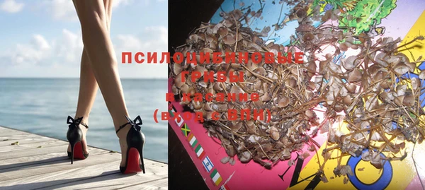 соль ск Новокубанск