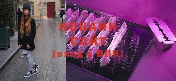 твердый Новозыбков
