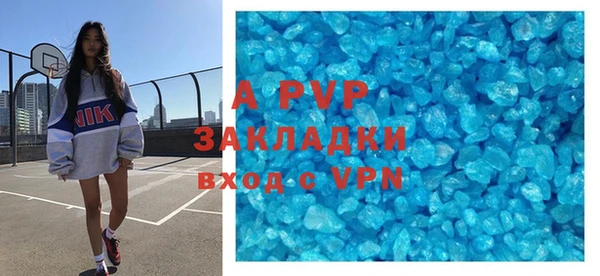 твердый Новозыбков