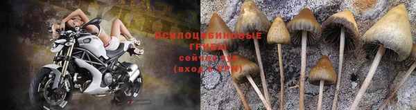 дмт Новодвинск