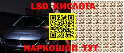 СК Будённовск
