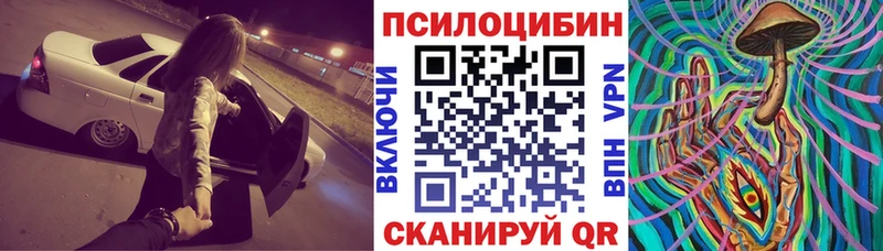 mega маркетплейс  как найти наркотики  Гурьевск  Псилоцибиновые грибы Cubensis 