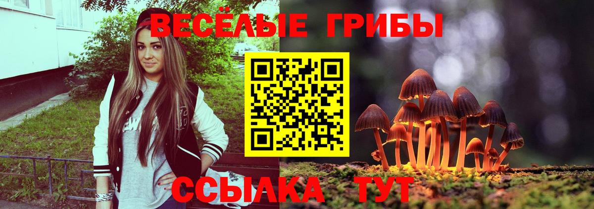 Псилоцибиновые грибы ЛСД  Гурьевск 