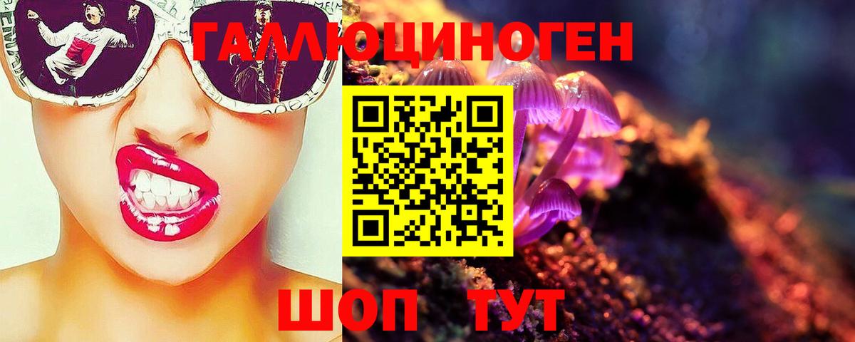 Гурьевск  Галлюциногенные грибы Magic Shrooms  где купить наркоту  Вход с VPN 